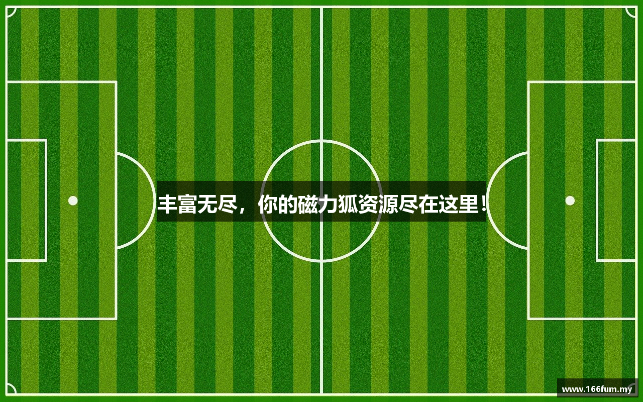 丰富无尽，你的磁力狐资源尽在这里！